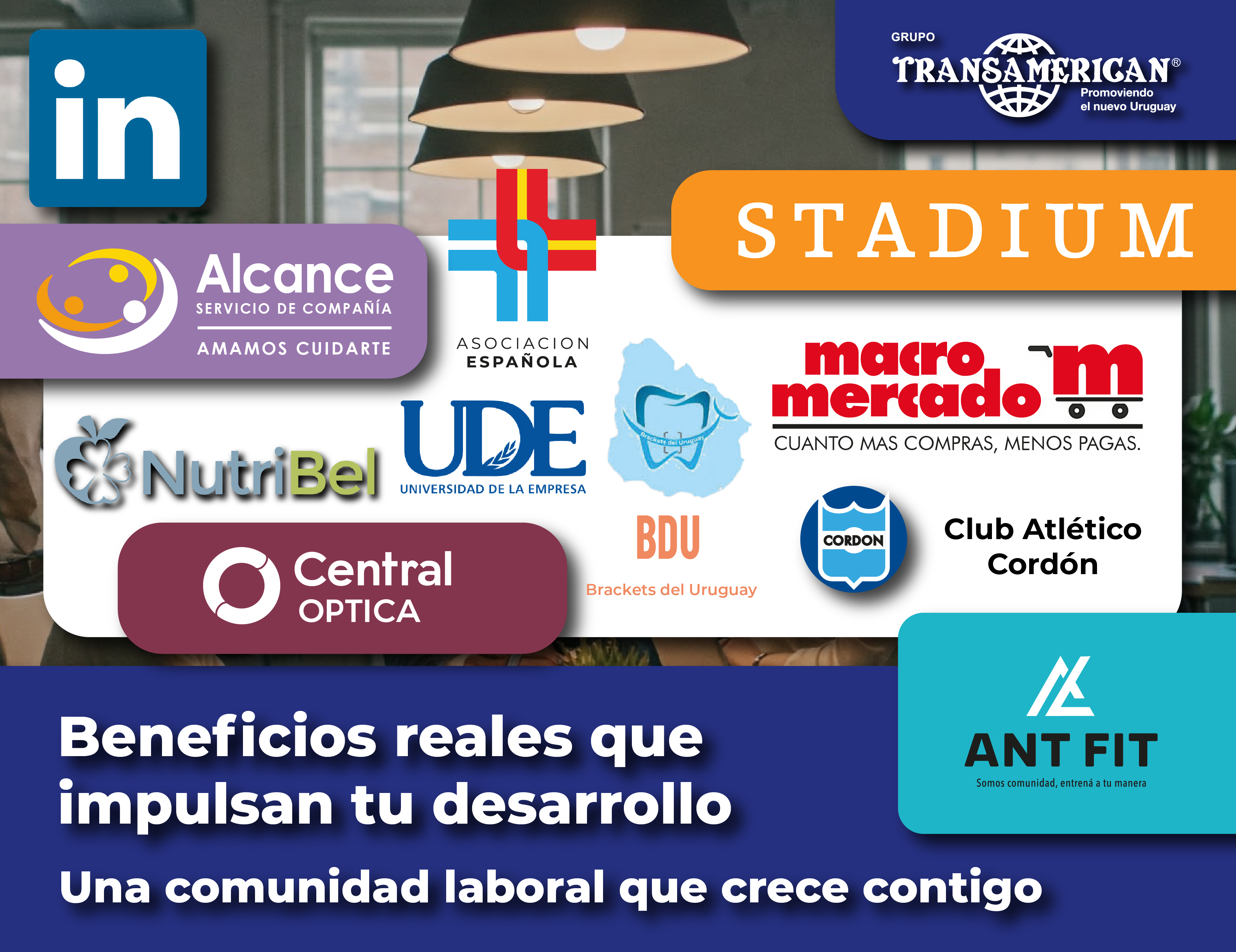Beneficios reales que impulsan tu desarrollo: formá parte de la comunidad de Transamerican